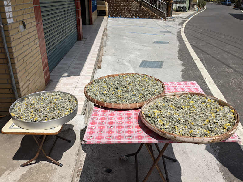 Taiwan Yushan Wandern