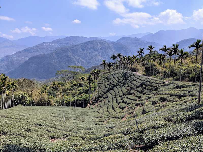 Taiwan Yushan Wandern