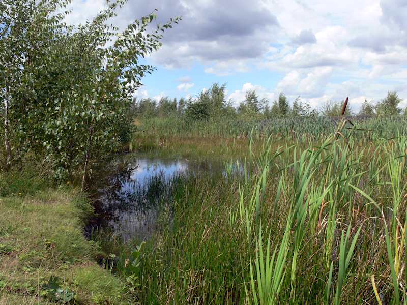 Sentier des Terrils in Belgien