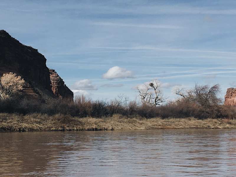 Ana Zirner Colorado River