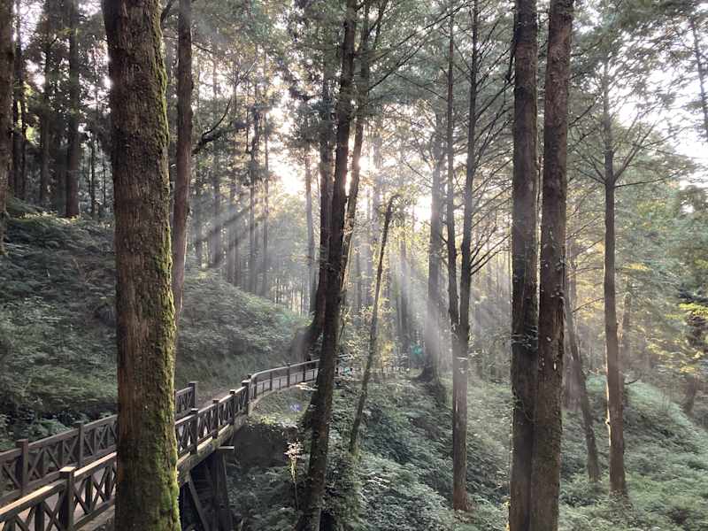 Taiwan Yushan Wandern