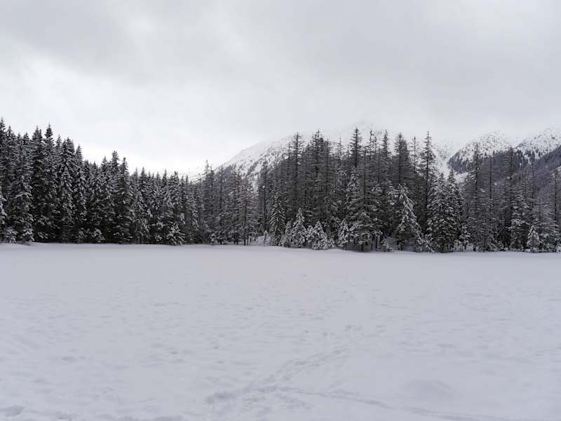 Zakopane Tatra Polen
