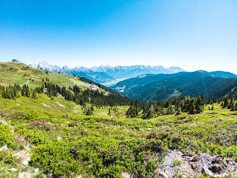 Saalachtaler Höhenweg