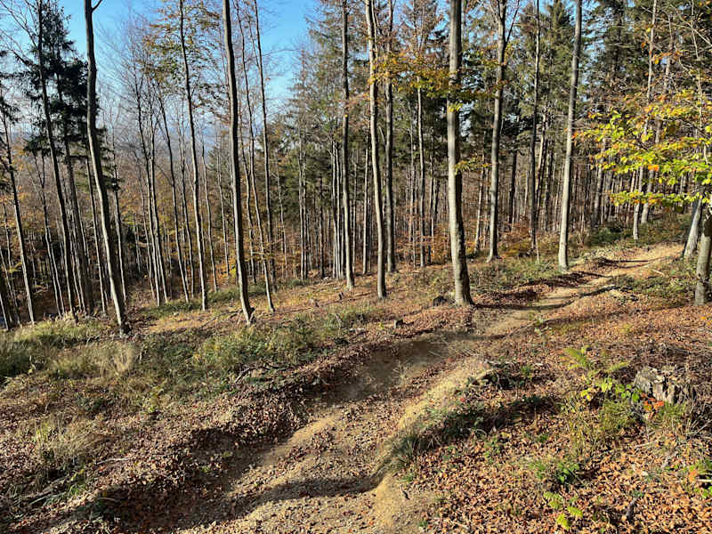 Hohlwege und Rinnen fordern immer wieder die Trail-Skills heraus