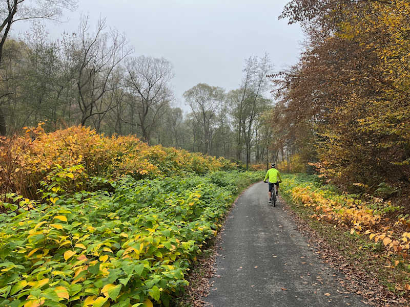 Rund um die Burg Lockenhaus stehen die Blätter in Flammen