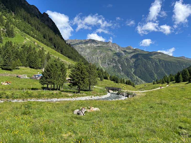 Bergwelten Mein erster 3.000er