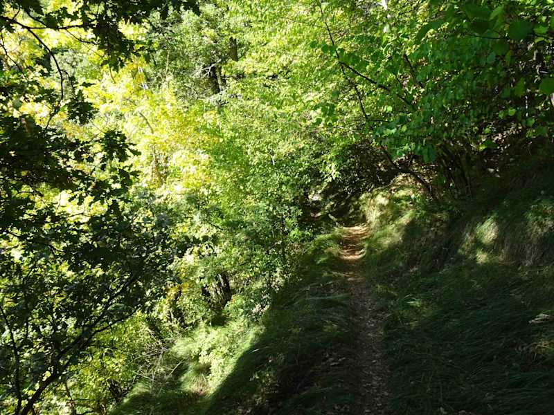 Schattige Waldpfade führen zu versteckten Weilern und kleinen Dörfern.