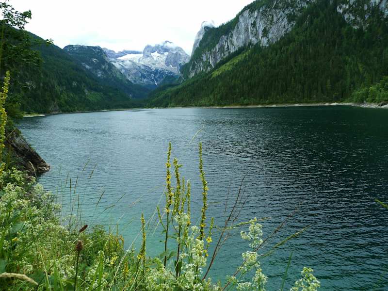 Der Vordere Gosausee mit dem Dachstein im Hintergrund