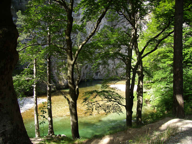 Das Höllental am Fuße der Rax