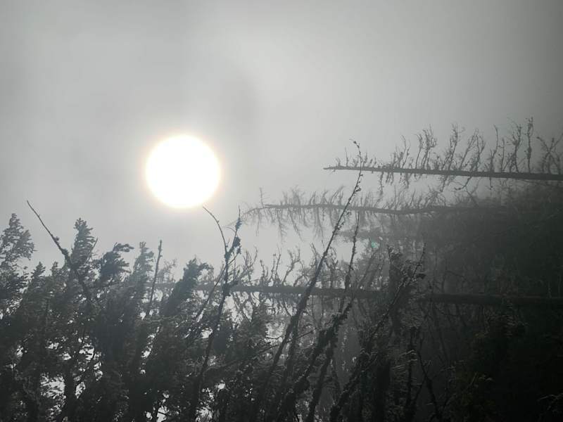 Sonne und Nebel auf der Rax