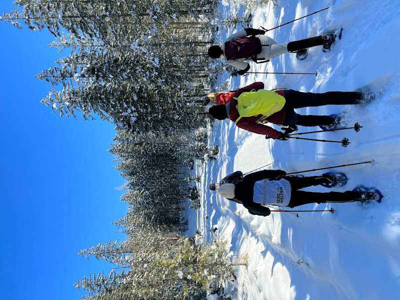 Beim Wandern durch die bayerische Wildnis kommt Kanada-Feeling auf.