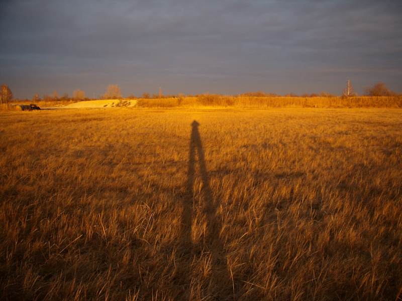 Lange Schatten im Nationalpark Neusiedlersee - Seewinkel