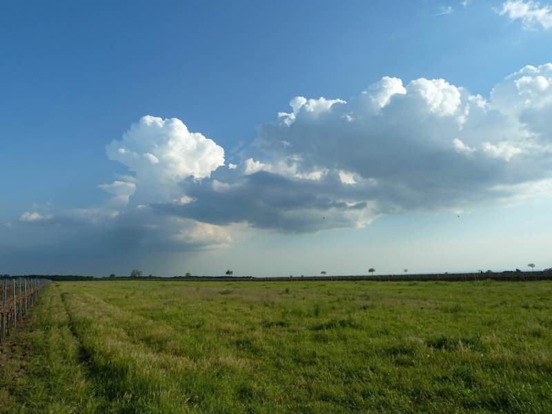 Tolle Wolkenstimmung über der Pusta.