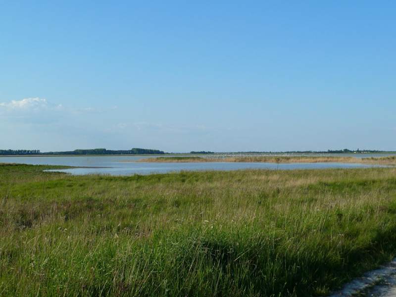 Die Lange Lacke ist ein wahres Vogelparadies.