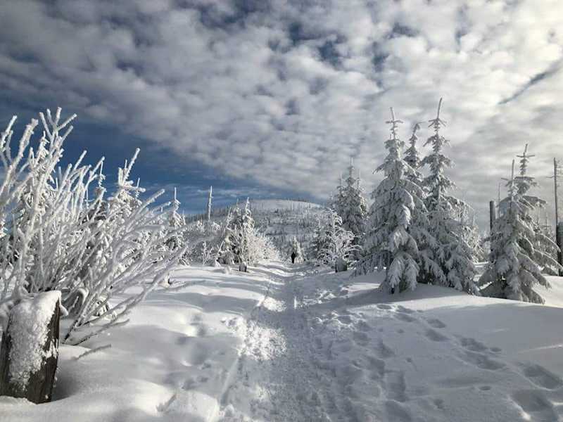 Unterwegs auf dem Dreisesselberg im Bayerischen Wald