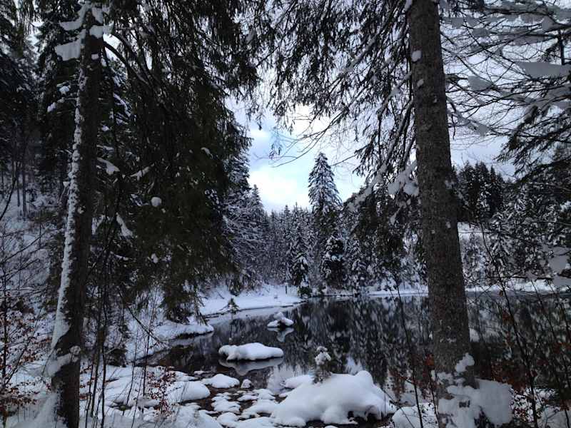 Winterwandern in Reutte
