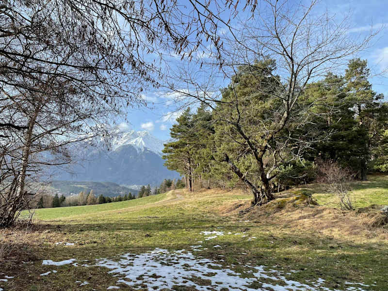 Letzte Schneereste im Naturschutzgebiet Rosengarten.