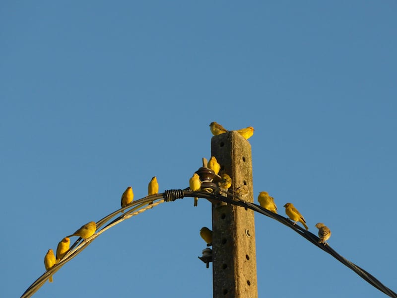 São Thomé das Letras