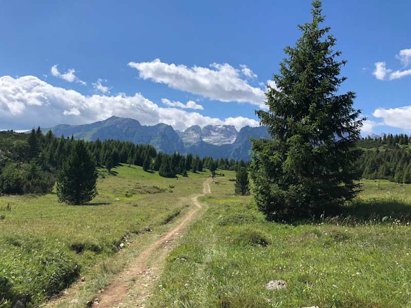 Auf gut angelegten Trails durch eine wunderbare Landschaft