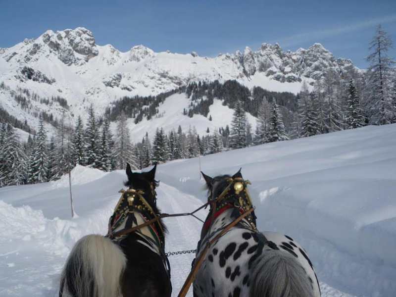 Mit dem Schlitten zur Oberhofalm bei Filzmoos