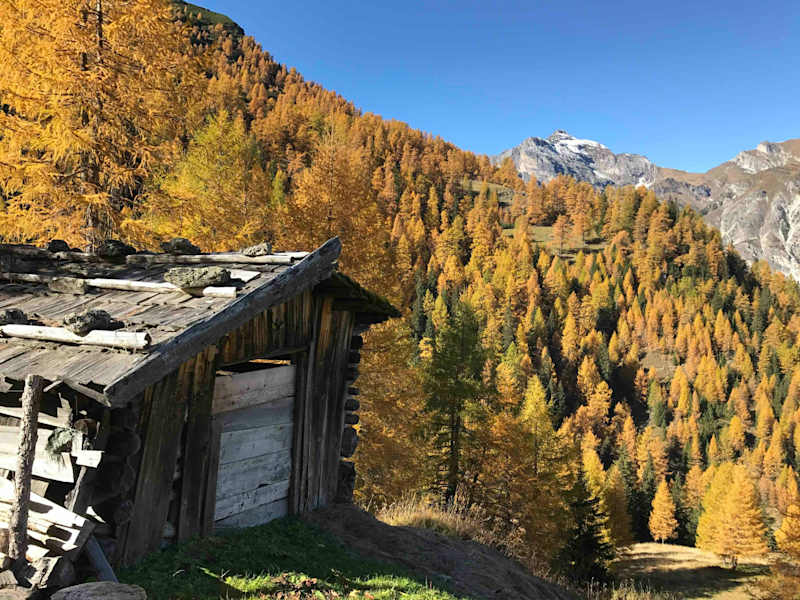 Im Herbst, wenn sich die Lärchen gelb färben, ist es im Gschnitztal besonders ruhig.