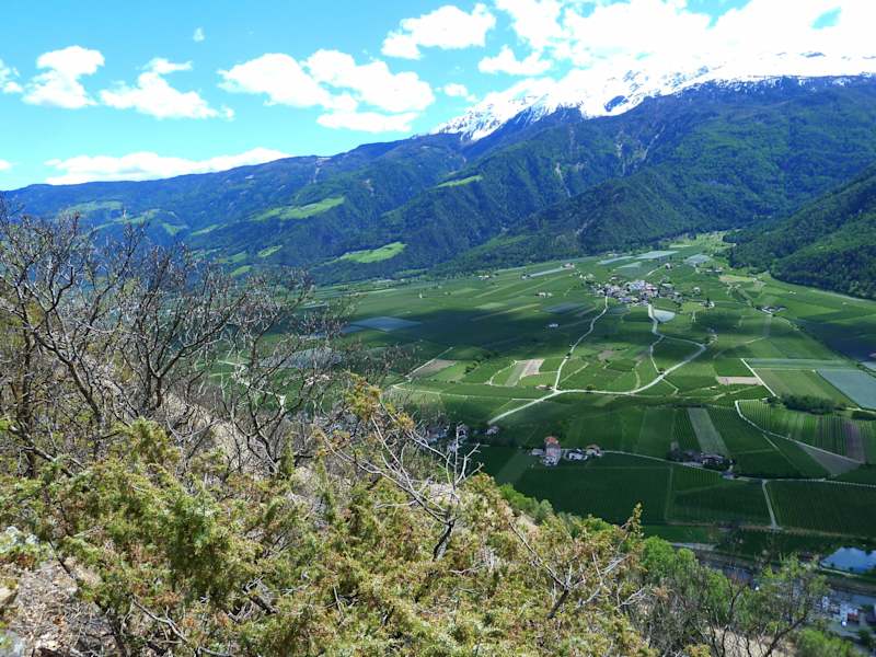 Im Vingschgau ist es unten grün und oben noch ziemlich weiß.