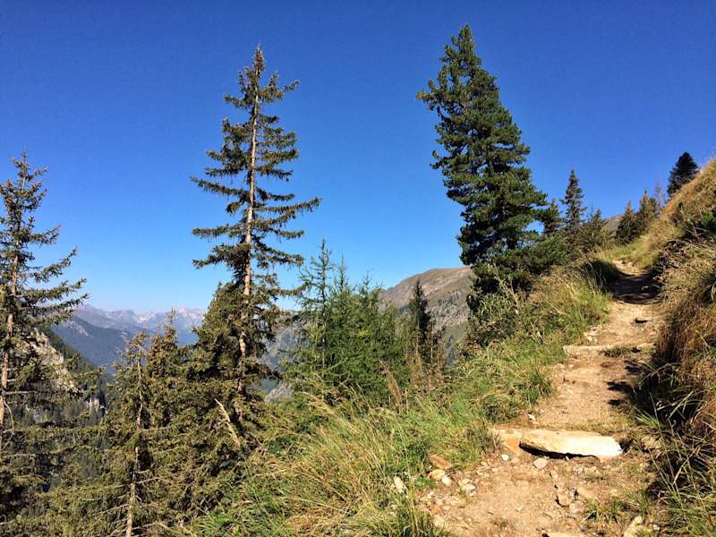 Weg auf die Zeischalm