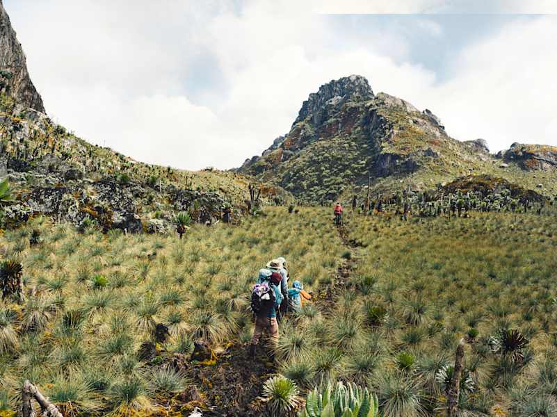 Auf dem Weg zum Gipfel des Regenmachers, dem Ruwenzori.
