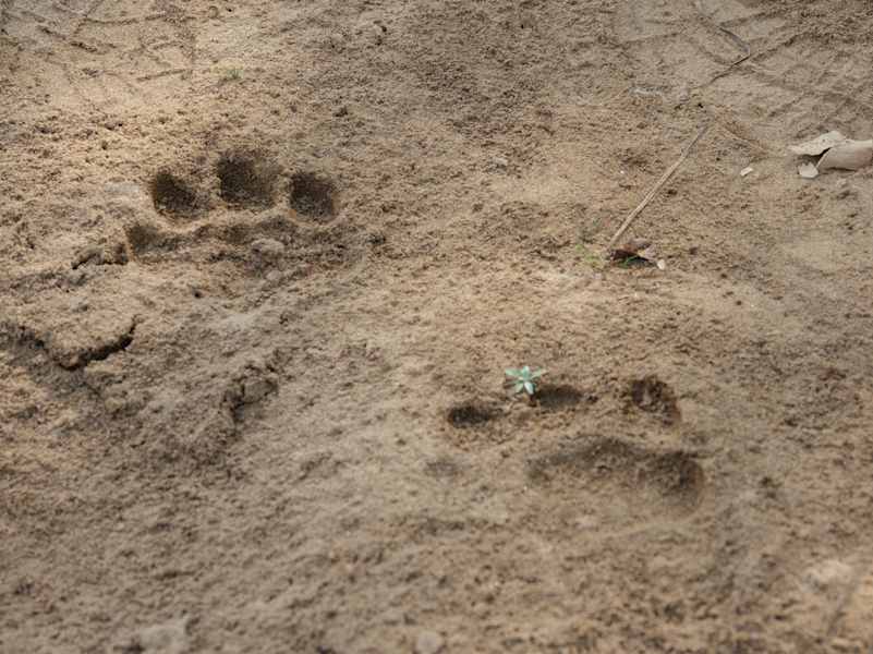 Indien Trekking Madhya Pradesh