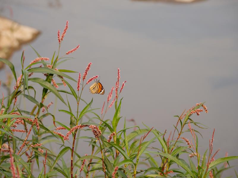 Indien Trekking Madhya Pradesh