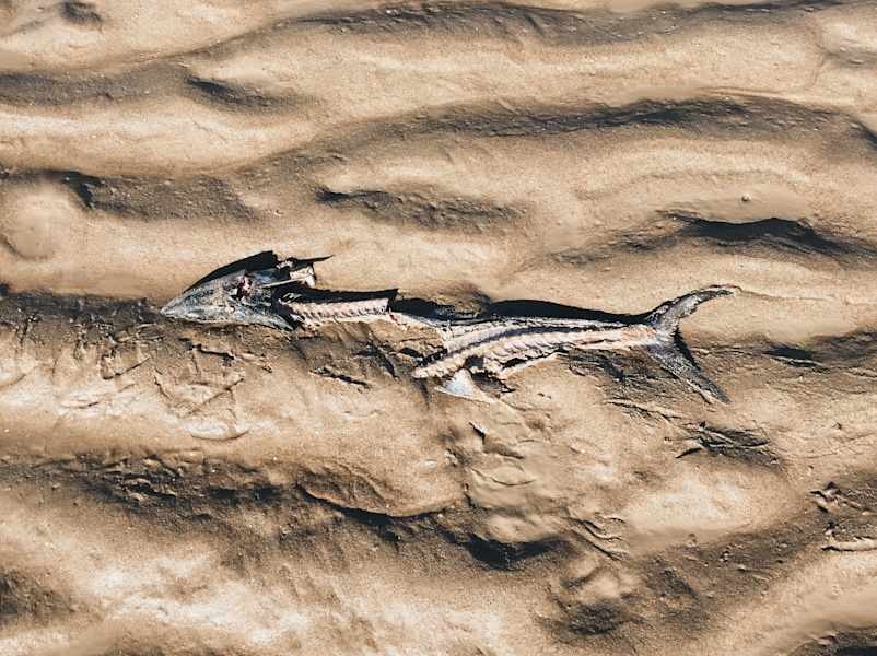 Ana Zirner Colorado River