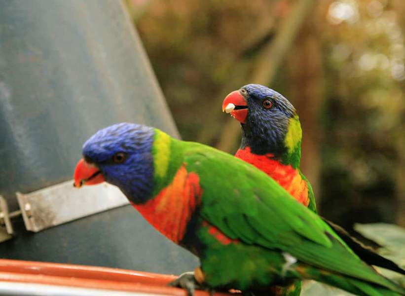 Teneriffa Teide Nationalpark