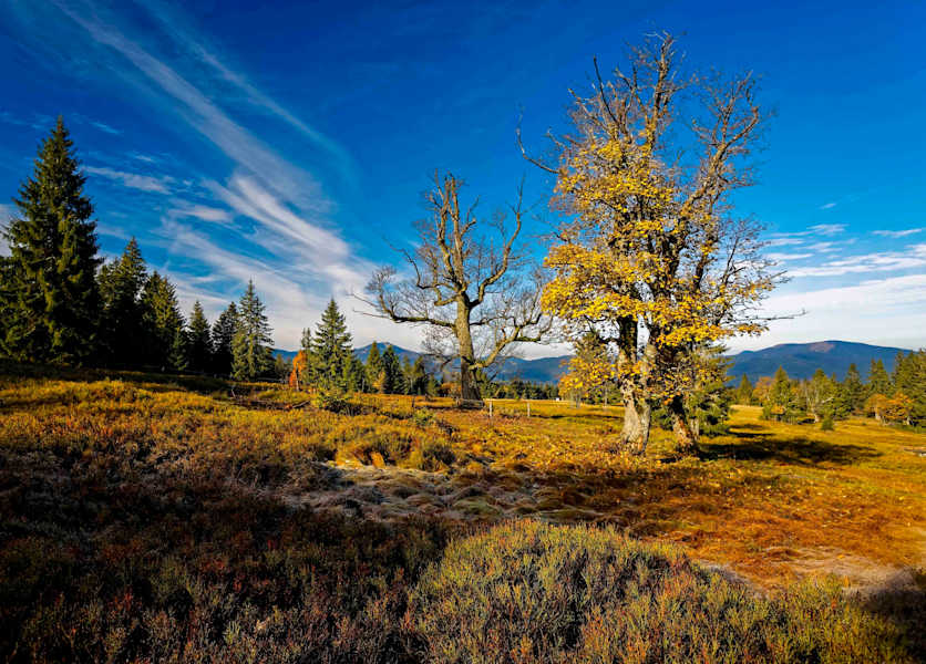 Die Ruckowitzschachten im Herbst