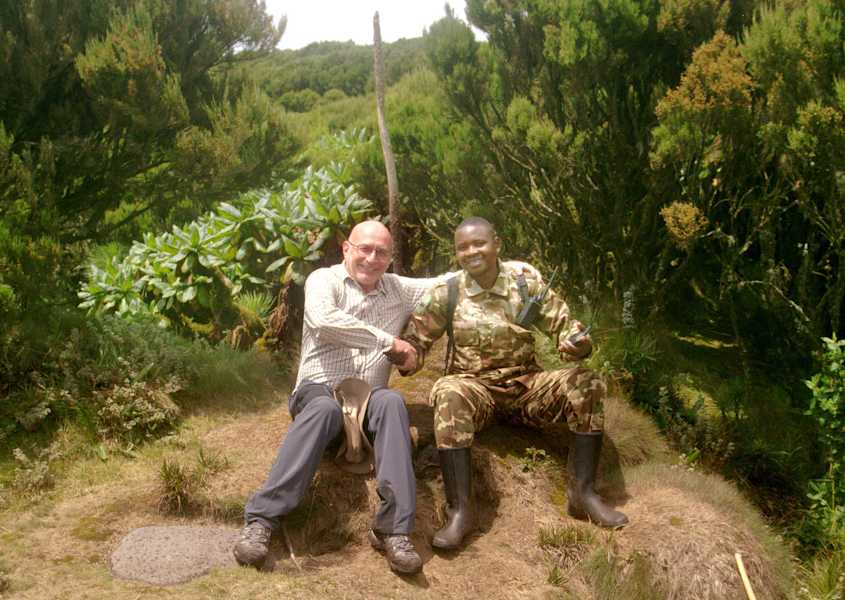 Virungas Berggorillas Reise