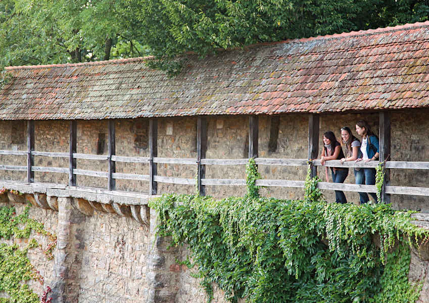 Fahrtwind Deutschland Reiseland Franken Radfahren