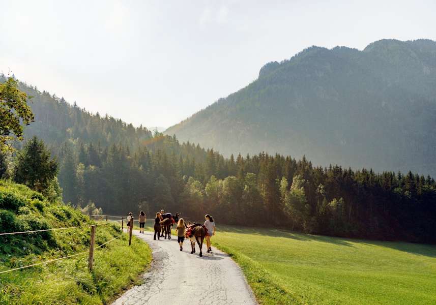 Die Eselwanderung führt durch die Berge des Mariazellertals.