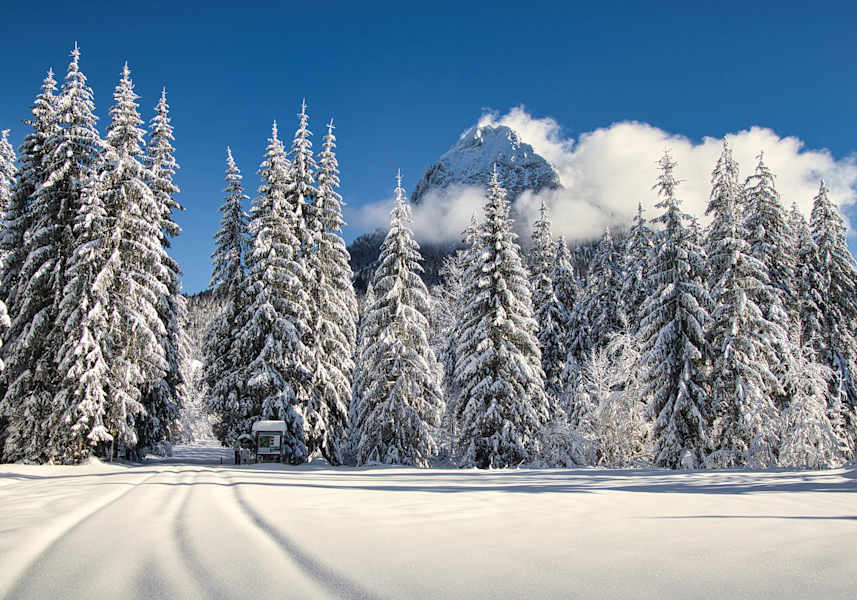 Guffert in Steinberg am Rofan