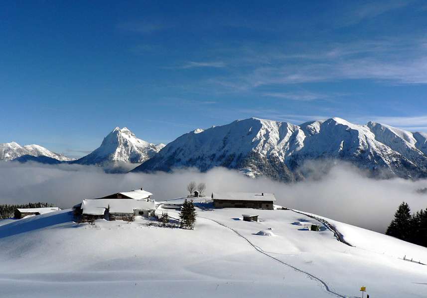 Hütten rund um die Falkenmoosalm in Achenkirch am Achensee