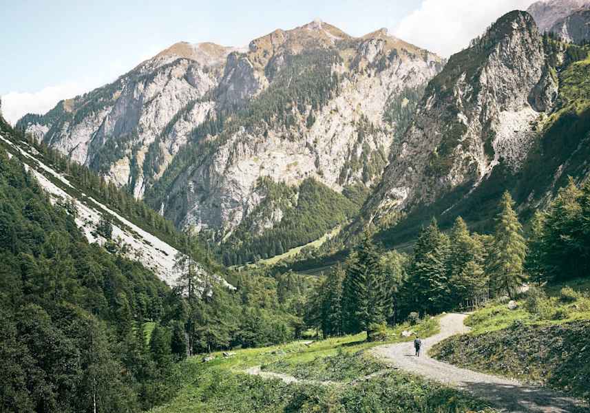 Abstieg über gemütliche Forststraßen