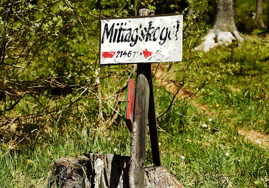 Richtungsweisendes Schild in einem Wald