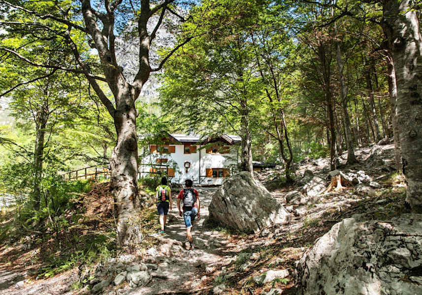 Eine idyllische Hütte mitten im Wald.