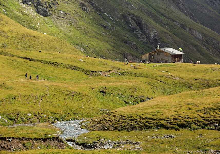 Eingebettet in grünen Wiesen steht die Brixner Hütte