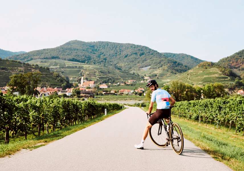 Blick auf Spitz an der Donau