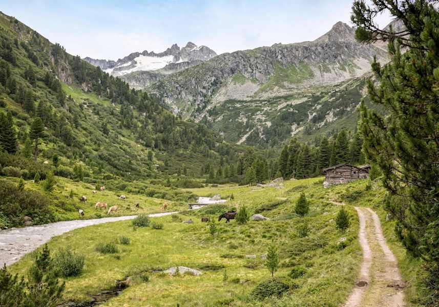 Blick in das malerische Rainbachtal