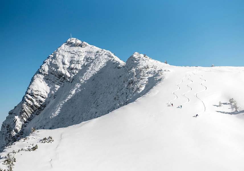 Die Skifahrer genießen das Abfahren in unverspurten Hängen.