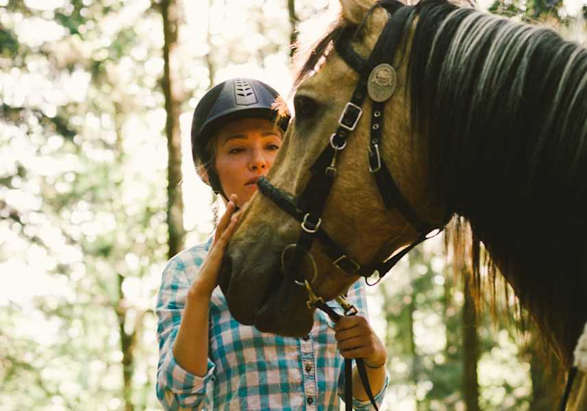 Frau streichelt die Nüstern ihres Pferdes