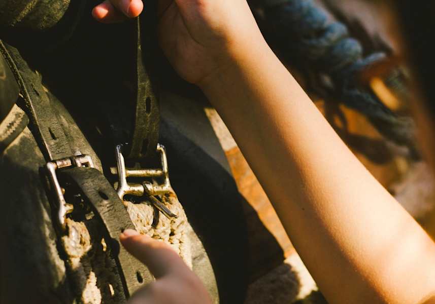 Sattel an das Pferd anlegen