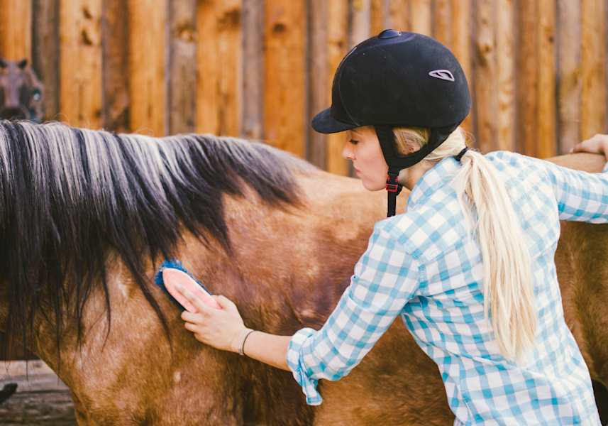 Frau bürstet ihr Pferd