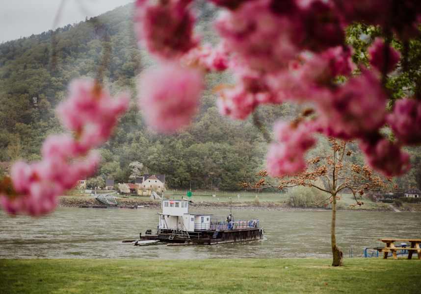 Rollfähre Weißenkirchen