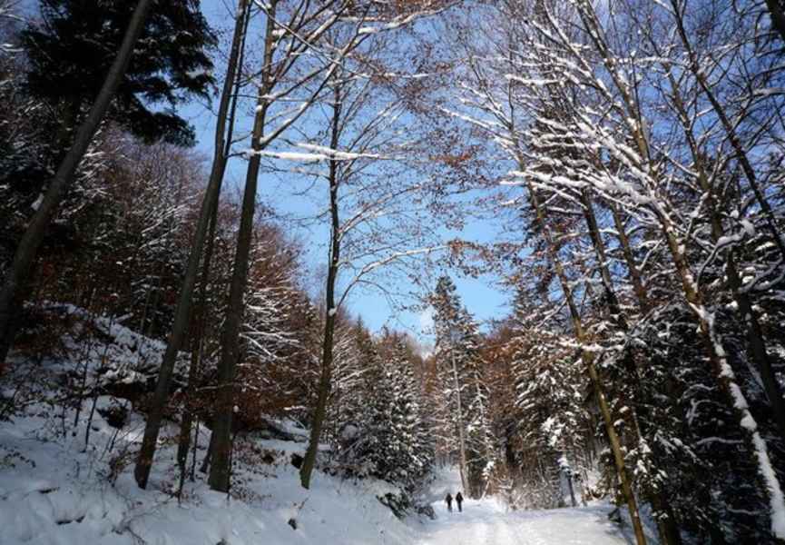 „Unterberg-Ost", Gutensteiner Alpen